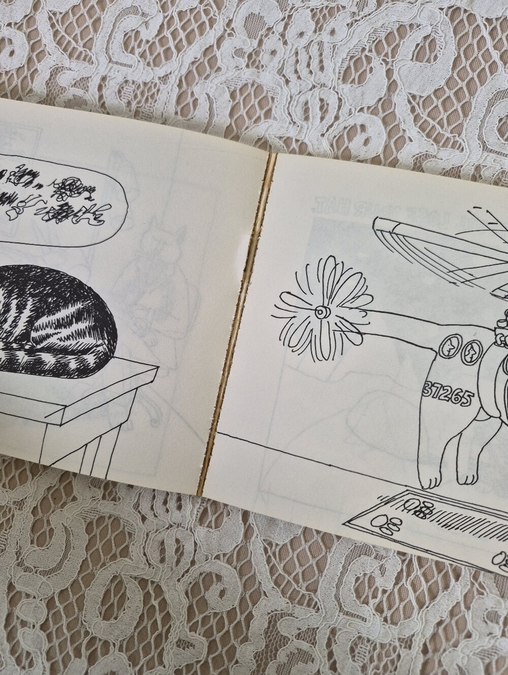 B. Kilban Cat Book - Picture 5 of 7